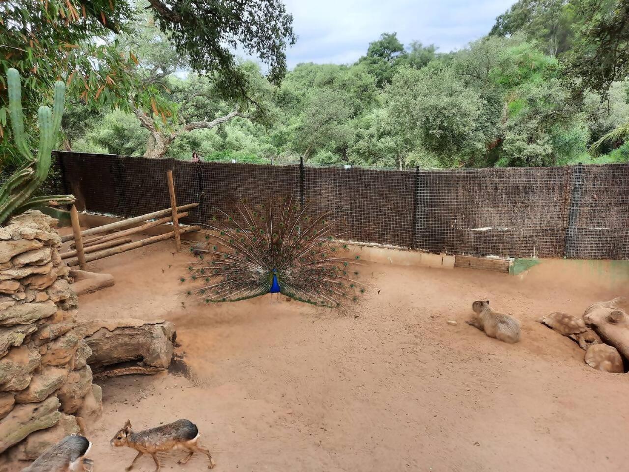 Appartamento Casa De Mar Small Oasis